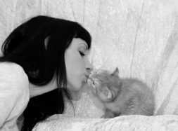 Love of the girl to a red kitten